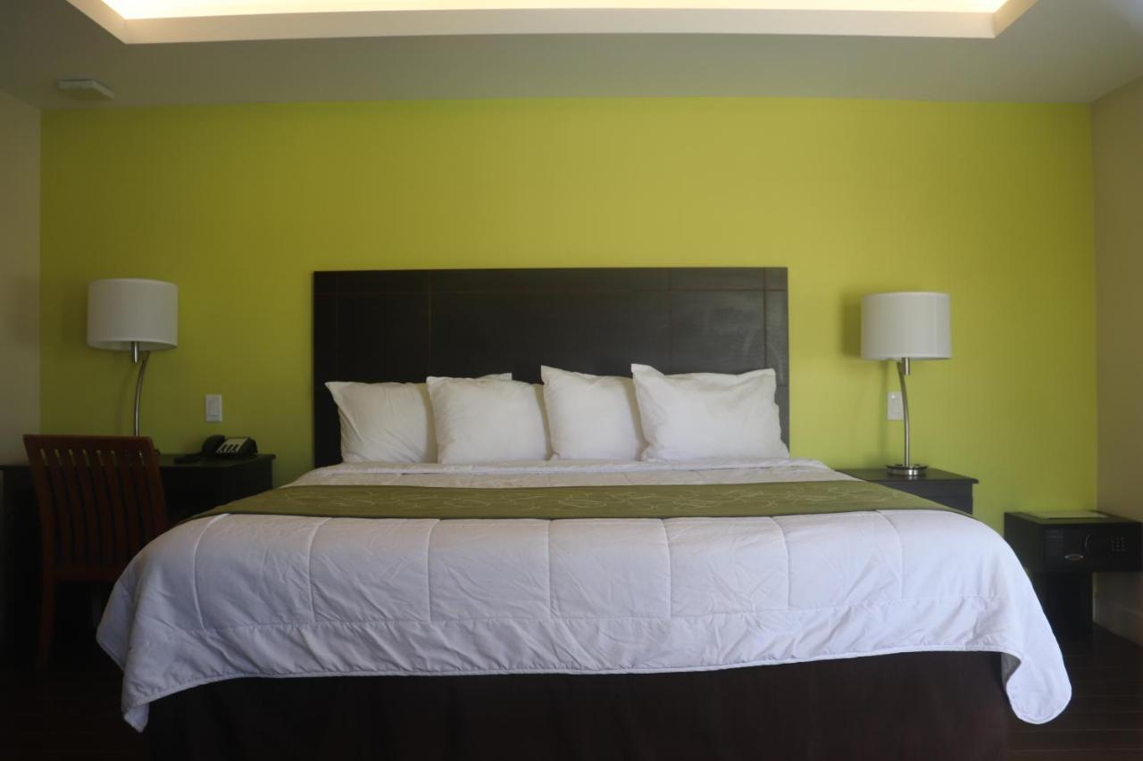 Curtis Inn & Suites Hollywood Zewnętrze zdjęcie