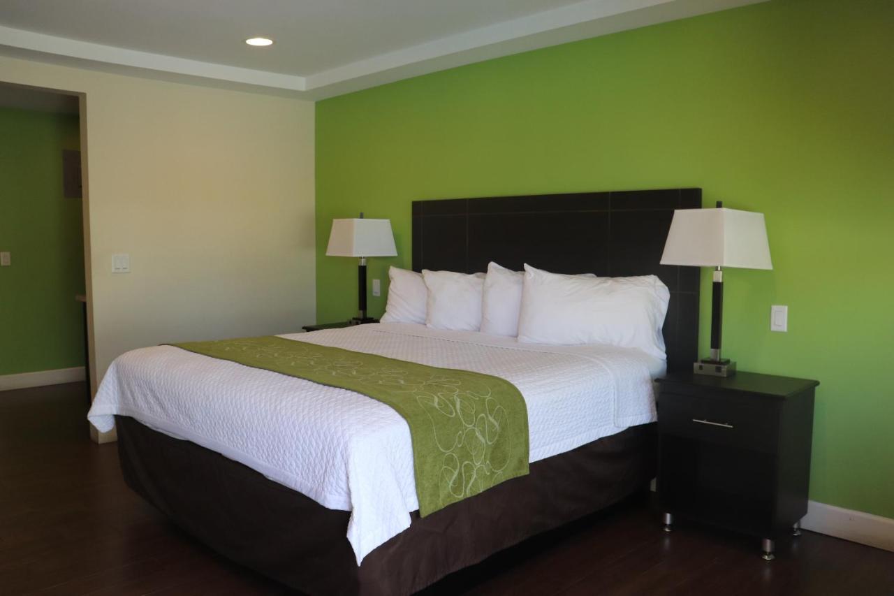 Curtis Inn & Suites Hollywood Zewnętrze zdjęcie
